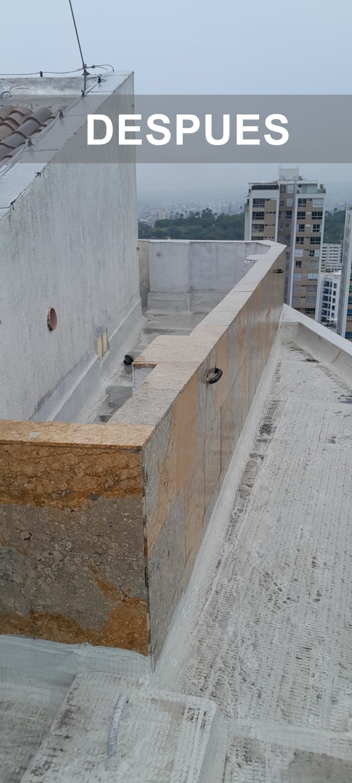 Proyecto 1 imagen 4